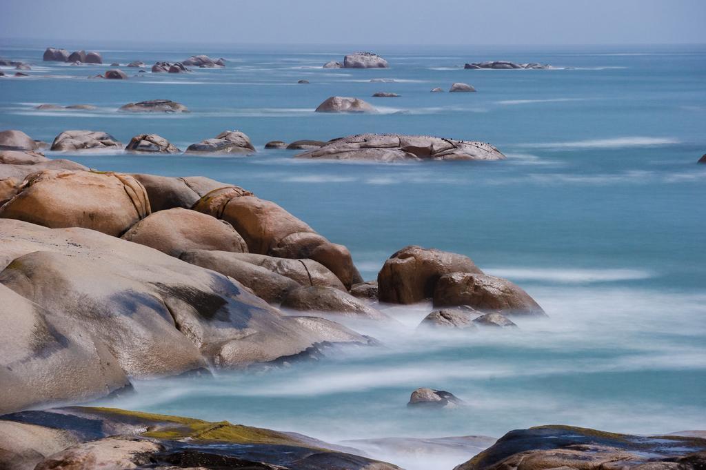 The Oystercatchers Haven At Paternoster Buitenkant foto